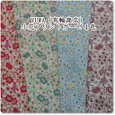 YUWA(有輪商店)小花プリントダブルガーゼ生地*4色(特価)【50cm単位】