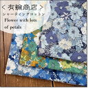 YUWA*L*V[eBORbgFlower with lots of petals3FRbgnCC823002