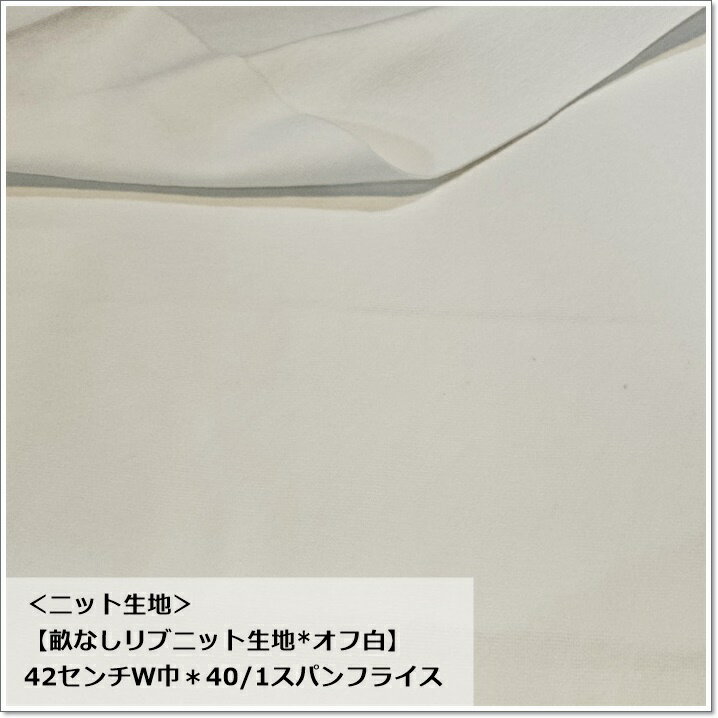 fabric BLUE㤨֡ڿ101mˤޤǥ᡼ȯġۡ˥åϡʤ֥˥å*42Wҡ40/1ѥե饤פβǤʤ115ߤˤʤޤ