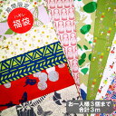 早い者勝ち★超お買い得商品★1000円ハギレセット福袋 (合計3m)DM便不可