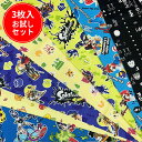 【縦約45~50cm×横約50cm3枚】☆3枚入 ゲームキャラクター お試しセット☆【ゲーム 福袋 入園 通園 入学 通学 手作り ハンドメイド お買い得 キャラクター 生地 布】