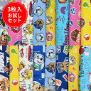 【縦約45~50cm×横約50cm3枚】☆3枚入 パウパトロール お試しセット☆【PAWPATROL チェイス マーシャル スカイ ラブル 福袋 入園 通園 入学 通学 手作り ハンドメイド お買い得 キャラクター 生地 布】