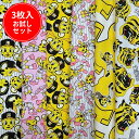 【縦約45~50cm×横約50cm3枚】☆3枚入 阪神タイガース お試しセット おまけハギレ付き☆【野球 ベースボール プロ野球 スポーツ 虎 甲子園 福袋 入園 通園 入学 通学 手作り ハンドメイド お買い得 キャラクター 生地 布】