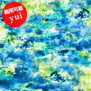 【綿麻コンパス】★10cm単位続けてカット★水彩プリントyui2020 カーム calm 【ユイ 一柳綾乃 yui by Ayano.ichiyanagi コットンリネンコンパス 木漏れ日 生地 布】