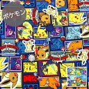 【オックス】★10cm単位続けてカット★ポケットモンスター ...
