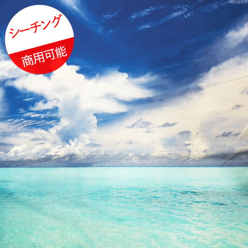 【1100円（税込）以上で送料無料】【ポイント10倍】【シーチング】★10cm単位続けてカット★南の島の水平線　海と青空　デジタル　インクジェット　2022　【オーシャン スカイブルー 目隠し リアルプリント 布 生地 】のサムネイル