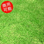 【キャンバス】★10cm単位続けてカット★芝生でゴロン ぷらんぷちいくす　【草 クローバー 商用利用可能 メール便可能 生地 布】