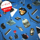 【1100円以上で送料無料】M【シーチング】★10cm単位続けてカット★リアルプリント いろんなアウトドアグッズ柄 ブルー地 2022 【きゃんぷ キャンプ アウトドア 目隠しカーテン】
