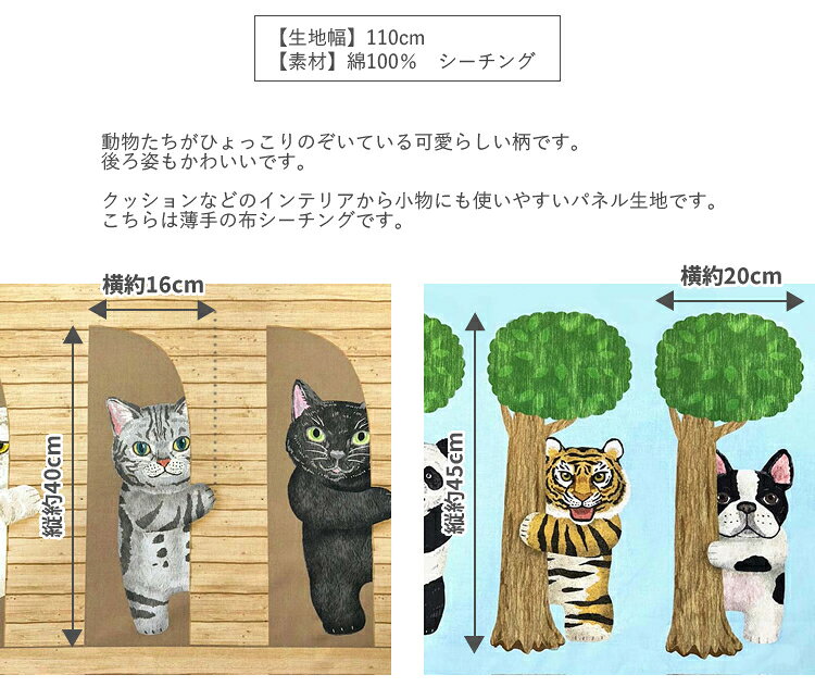 サンプル画像3