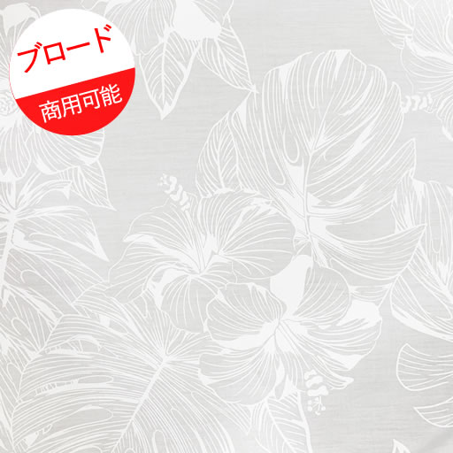 ϥɥᥤɤΤŹե֥å㤨֡TC֥ɡۡ10cmñ³ƥåȡ󥹥ƥȥϥӥۥ磻ȡϥ磻ľ͢2024פβǤʤ99ߤˤʤޤ