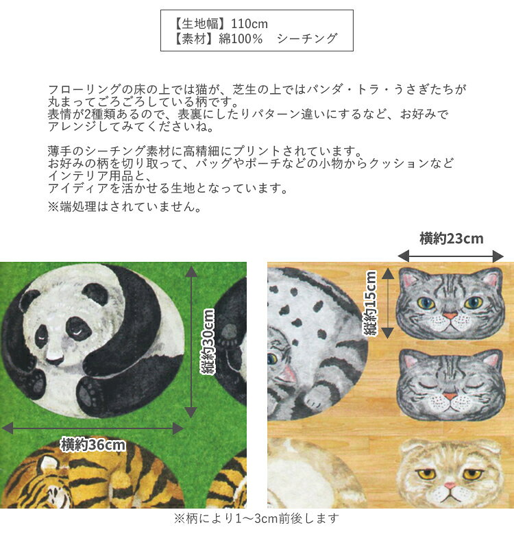 サンプル画像3