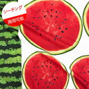 【1100円以上で送料無料】【プライスオフ】【シーチング】★48cmパネル単位続けてカット★スイカ customize me! 2025