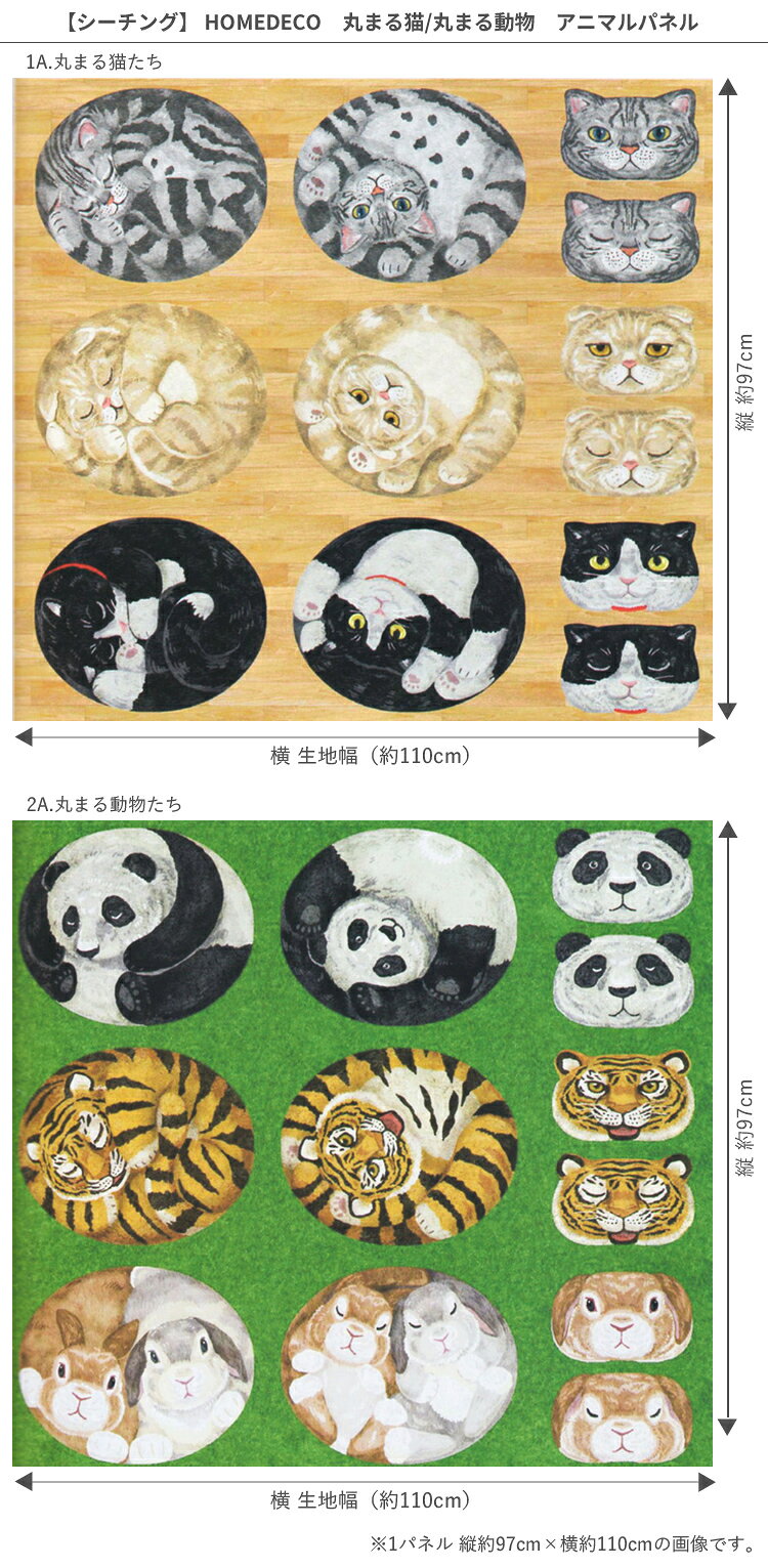 サンプル画像2