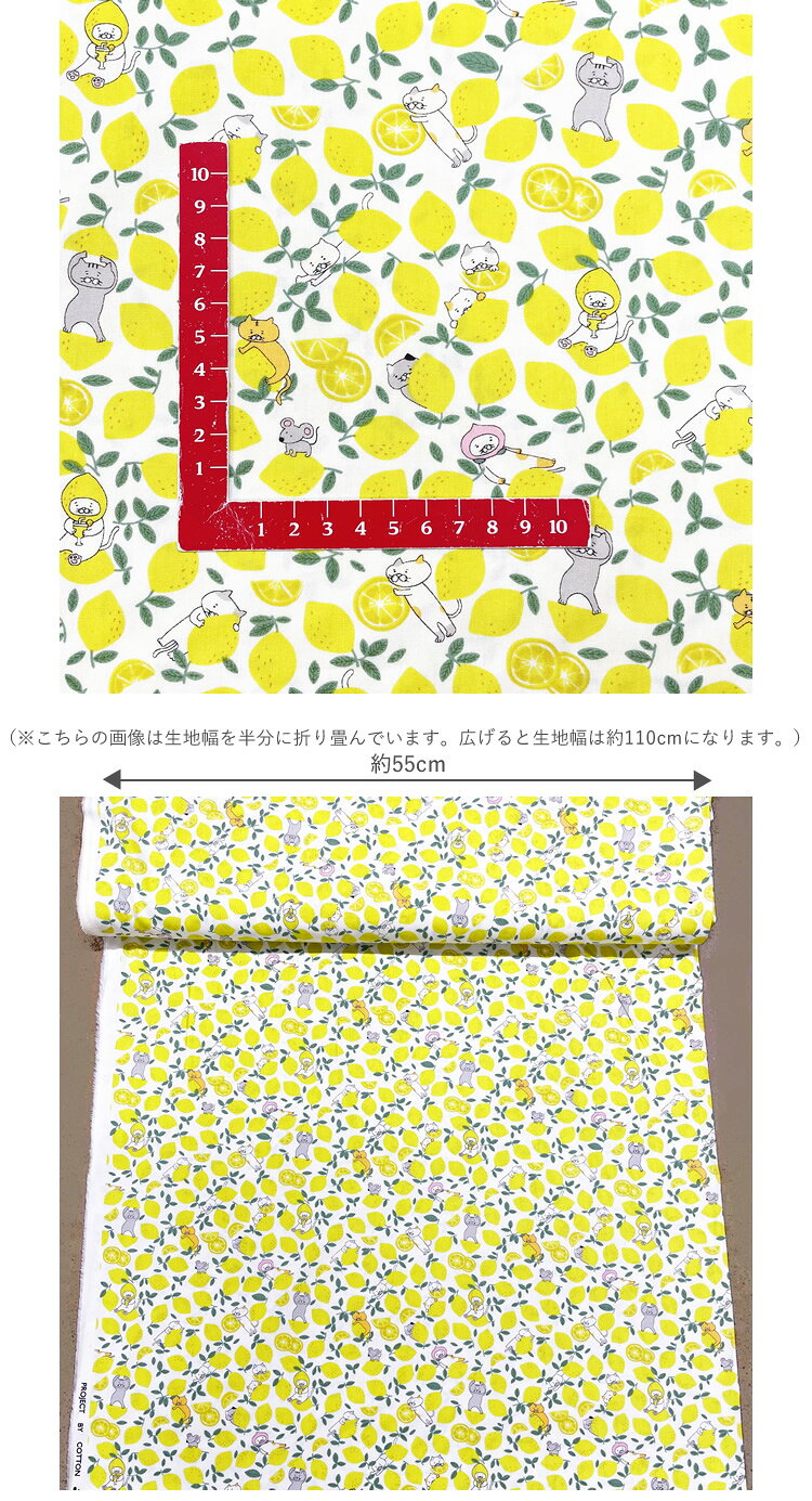 サンプル画像3