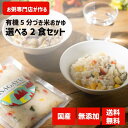 お試し2食セット 5種類から選べる ダイエット食品 雑炊 お粥 レトルト ダイエット 置き換え 無添加 有機米 具材入り 栄養食 健康食 腸活 簡単 時短 安心...