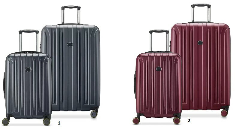 【COSTCO】コストコ（DELSEY）デルセー アクセレイト 2個セット 【送料無料！】※カラーお選び下さい