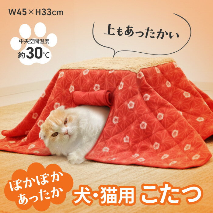 ǭѤ ڥå ǭѤ ǭѥ ǭ  Ѥ ѥ  ڥåѥ  ݤݤä ڥåѤ ˼ ...