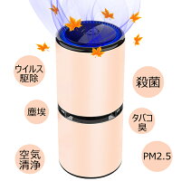 国内正規店販売　空気清浄機 マイナスイオン発生器 車 オゾン 発生器 カー用品 車用 車載空気清浄機 プラズマクラスター 自動オフ機能 花粉対策 たばこ 芳香剤 小型 コンパクト ペット PM2.5 除菌 車内 煙草 車載 ウイルス対策 感染予防 軽量 車用品 消臭正規品