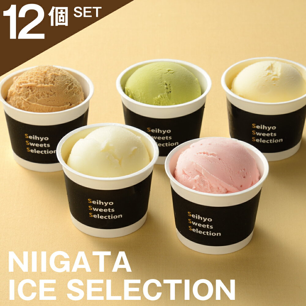 yzV n ACX ZCq[ n L Β zP VYoj N`F NIIGATA ICE SELECTION 12Zbg