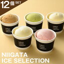 yzV n ACX ZCq[ n L Β zP VYoj N`F NIIGATA ICE SELECTION 12Zbg