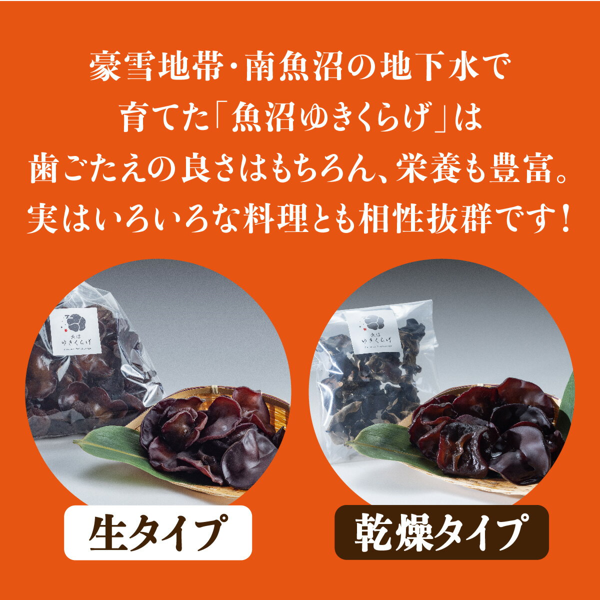 【送料無料】新潟県産 南魚沼市 ぷりぷり食感【魚沼ゆきくらげ 生200g×1袋 冷蔵】国産 生きくらげ キクラゲ