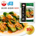 【マラソンポイント3倍】【ファーチェフーズ直販】ファーチェ オイキムチの素（野菜1kg分）10袋セット 保存料・着色料不使用 白菜 キムチ 韓国 自家製 カクテキ オイキムチ 漬け物 鍋 チゲ 【ファーチェフーズ】【送料無料】