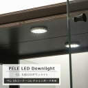 LEDダウンライト オプション PELE ペレ 55コーナーコレクションボード専用 ペレ 丸型LEDダウンライト 木村商事 コレクションラック用ライト ガラス棚 ディスプレイ用 明かり 照明 ペレ コレクション 専用