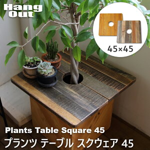 テーブル 北欧 PLT Plants Table Square 45 プランツテーブル 幅45cm 天板 HangOut ハングアウト プラント 観葉植物 ローテーブル サイドテーブル ディスプレイテーブル おしゃれ かわいい 天然木 木目 テーブル