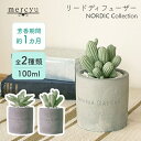 アロマ ディフューザー リードディフューザー 【mercyu 100ml MRU-73】フレグランス アロマディフューザー ルームフレグランス 1ヶ月 石膏 多肉植物 植物 爽やか 甘い スリム インテリア 香り 芳香 癒し ギフト プレゼント リラックス おしゃれ かわいい 玄関(4)