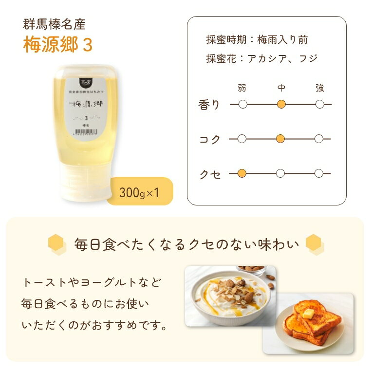 [さらにエントリーでポイント5倍確定]国産 はちみつ 非加熱 混ぜものなし【梅雨入り前の榛名山のアカシア・フジ 300g】 はちみつ 無添加 抗生物質不使用 純粋蜂蜜 群馬 軽井沢 ワンタッチボトル 免疫力アップ fachette-10020906 Sleep Atelier 〜寝具と家具の店〜 サンプル画像2