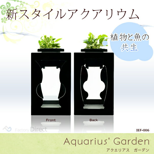 【送料無料】【限定販売】IEF-006 アクアリウム水槽Aquarius' Garden アクエリアスガーデン ブラックベース 着脱式LEDライト付水槽 熟練した職人の手作り品 (ハンドメイド 水槽 インテリア ガーデニング 小魚 観葉植物 水耕栽培 多肉植物にも！風水・運気アップ！)