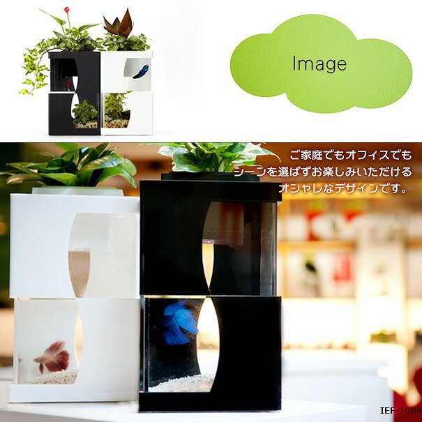 (�ǽ��߸˽�ʬ��) IEF-010BK �������ꥦ����� Lattice Style ��ƥ����������� �֥�å��١��� ��æ��LED�饤���տ��� �����������ͤμ�����(�ϥ�ɥᥤ�� ���� ����ƥꥢ �����ǥ˥� ���� ���տ�ʪ ��̺��� ¿����ʪ ��)