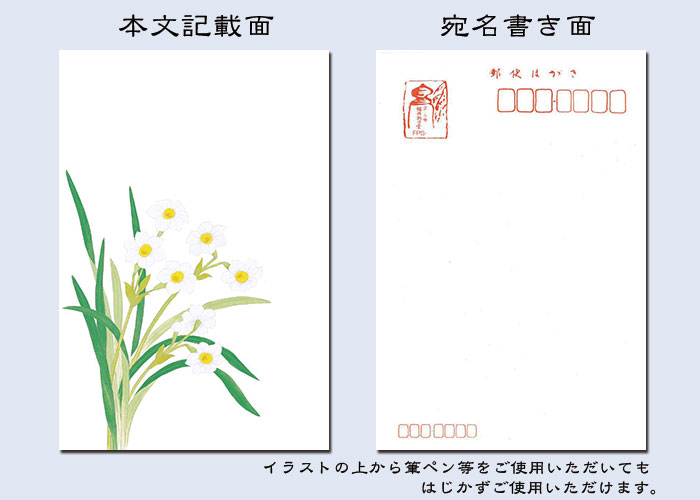 年賀状 寒中見舞い はがき マート 冬 絵葉書 ポストカード 和風 水仙 イラスト 無料 返事 返礼 お礼状 ハガキ 3枚入 花きらら 四季 輝くラメの加工入り 結婚 福井朝日堂 御礼状 京都 挨拶状 花 出産 内祝い