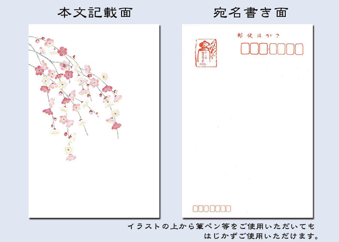 年賀状 寒中見舞い はがき 冬 絵葉書 全商品オープニング価格 ポストカード 和風 しだれ梅 イラスト 無料 京都 3枚入 花きらら 御礼状 福井朝日堂 輝くラメの加工入り 返事 お礼状 挨拶状 返礼