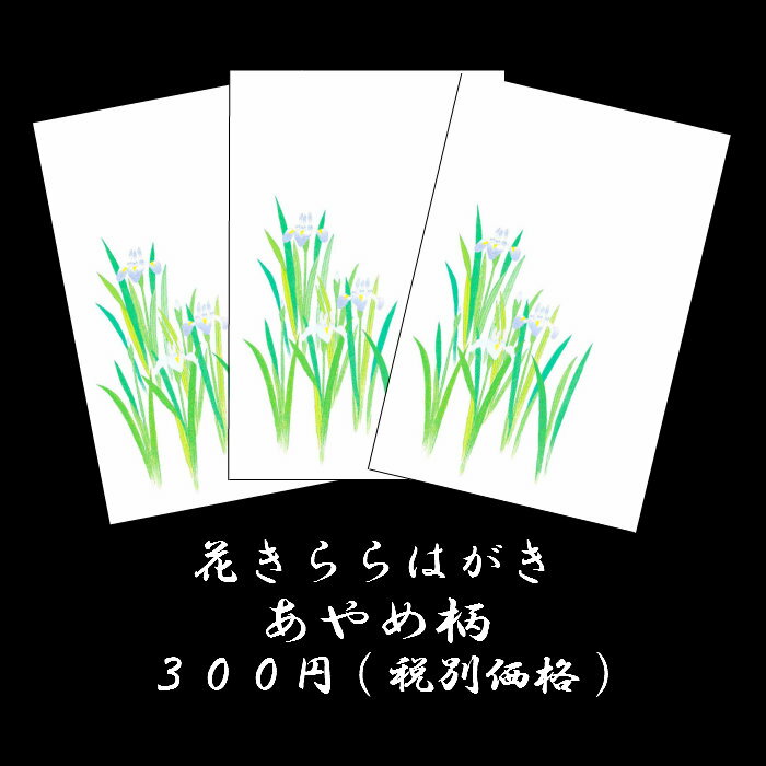 はがき 菖蒲(あやめ しょうぶ)春 和紙 葉書 和風 イラスト 端午の節句 初節句 五月人形 大将人形 こどもの日 5月【花きらら FPS-716 菖蒲（あやめ）3枚入り】お礼 贈り物 挨拶状 御礼状 ハガキ 入学 新学期 新年度 転任 引っ越し 四季 季節 花 ポストカード 福井朝日堂 京都