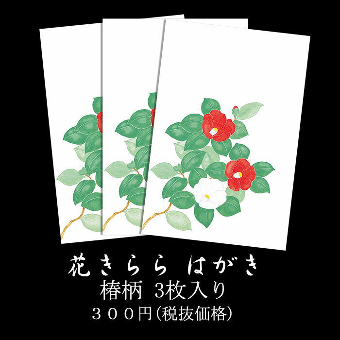 年賀状 寒中見舞い はがき 冬 絵葉書 ポストカード イラスト 無料 和風【花きらら FPS-707 椿(つばき) 3枚入り】年賀状 返事 返礼 御礼状 出産 結婚 内祝い お礼状 挨拶状 ハガキ 四季 花 福井朝日堂 京都