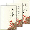はがき 寒中見舞い 葉書 年末 年始 ハガキ 和紙 和風 冬...