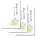 残暑見舞い はがき ポストカード 葉書 お中元 お礼 挨拶状 御礼状 絵葉書 ハガキ【花うたげ 桔梗(ききょう) 定型文つき 残暑】 出産 結婚 内祝い お礼状 季節 花 夏 福井朝日堂 京都