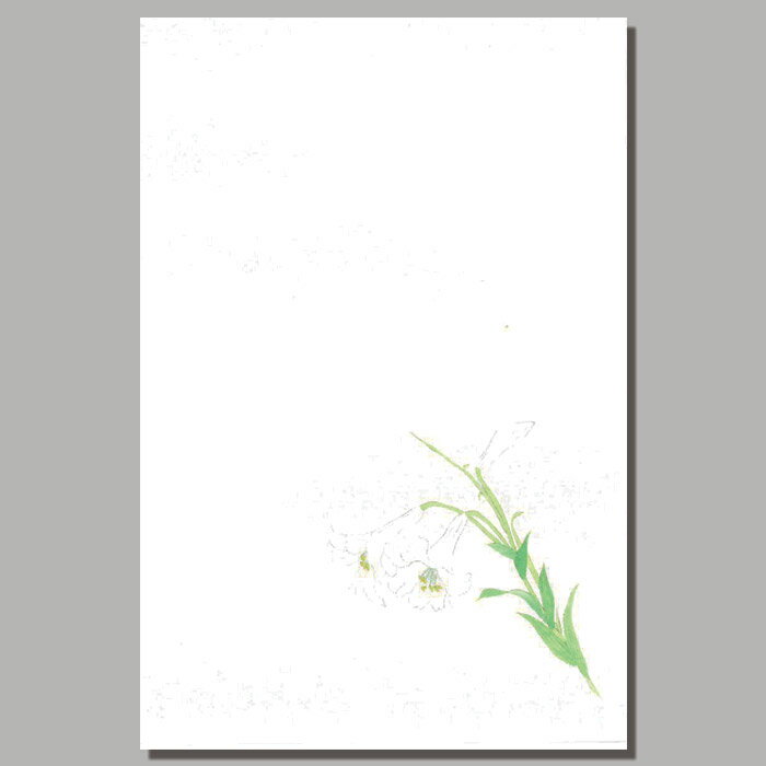 喪中 はがき 和紙 和風 注目 寒中 見舞い 葉書 ５枚入り ハガキ 冬 イラスト 無料 年賀欠礼 戒名 挨拶状 年賀状 ユリ 百合 返礼 年始 年末 御礼 寒中見舞い 福井朝日堂 喪中時