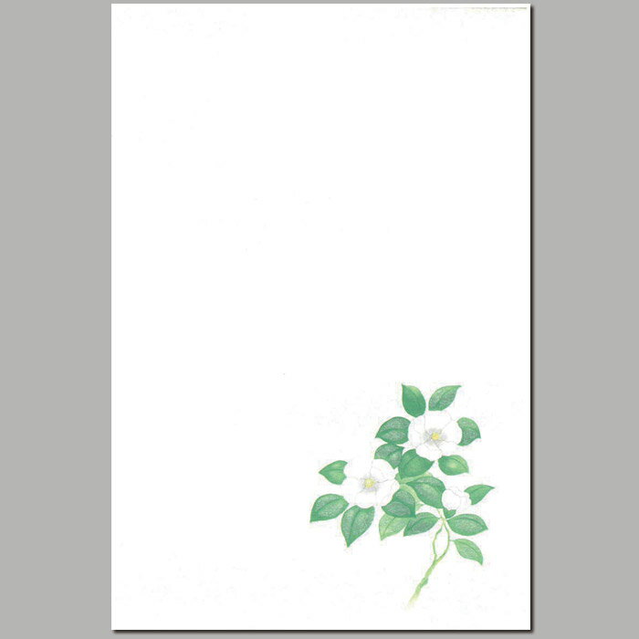 喪中 はがき 寒中見舞い 葉書 年末 年始 ハガキ 和紙 和風 冬 イラスト無料 年賀欠礼 戒名 年賀状 御礼 挨拶状 Fps 601 白椿 しろつばき 福井朝日堂 代購幫 喪中 はがき 寒中見舞い 葉書 年末 年始 ハガキ 和紙 和風 冬 イラスト無料 年賀欠礼 戒名 年賀状 御礼 挨拶状 Fps 601 白椿 しろつばき 福井朝日堂 代購幫