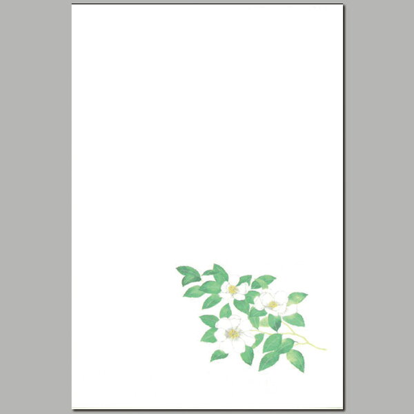 年賀状 イラスト みんな探してる人気モノ 年賀状 イラスト 年賀状 イラスト みんな探してる人気モノ 年賀状 イラスト