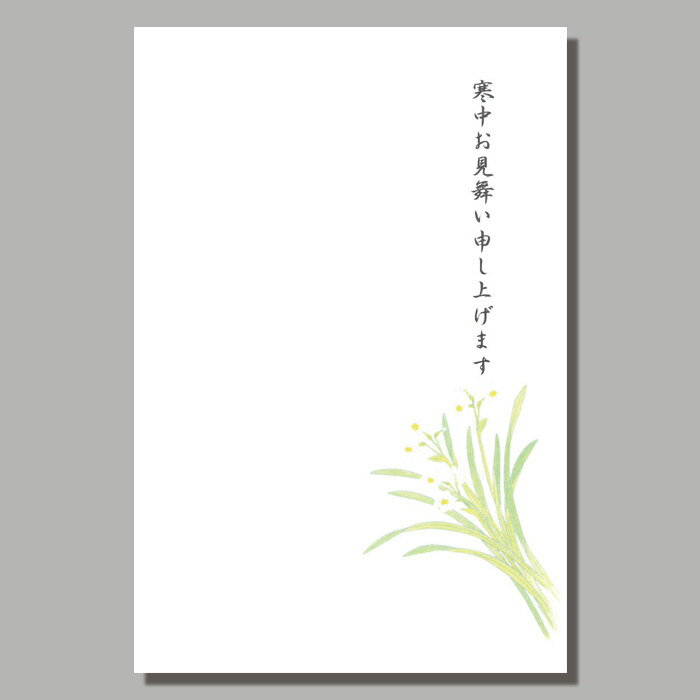 喪中 はがき 寒中見舞い 葉書 年末 年始 ハガキ 和紙 和風 冬 イラスト ポストカード 無料 年賀欠礼 年賀状 御礼 挨拶状【FPS-603A】水仙(すいせん) 定型文付き 福井朝日堂のサムネイル
