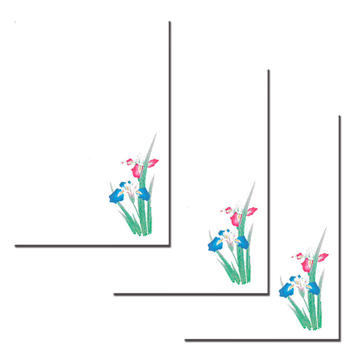 はがき 菖蒲(あやめ しょうぶ)兜 端午の節句 和紙 葉書 和風 五月人形 大将人形 こどもの日 イラスト 初節句 5月 春【御所解もようはがき 薫風 FPI-605 3枚入り】お礼 贈り物 挨拶状 御礼状 和紙 ハガキ 入学 新年度 転任 引っ越し 四季 季節 ポストカード 福井朝日堂 京都