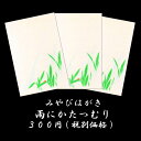 はがき 春 和紙 新緑 梅雨 初夏 雨 蝸牛(かたつむり)カタツムリ 絵葉書 ポストカード イラスト 無料 和風【みやびはがき125 蝸牛(かたつむり) 3枚入...