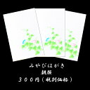 はがき 暑中見舞い 残暑見舞い 夏 朝顔(あさがお)お中元 お礼状 和風 無料 イラスト 和紙 【みやびはがき122 朝顔(あさがお)一輪 3枚入り】挨拶状 引...
