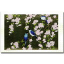 グリーティングカード クリスマスカード ニューイヤーカード ポストカード 和風 桜 鳥 春【FG-5329】イラスト 春節 お正月 バレンタイン 冬 3月 4月 メッセージカード 定型郵便 和紙 封筒 多目的 ウェディングカード バースデーカード イラスト 福井朝日堂 京都