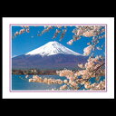 クリスマスカード 和風 グリーティングカード 多目的 メッセージカード 冬【FC20-604】富士山 桜 河口湖 写真 ポストカード バースデーカード ウェディ...