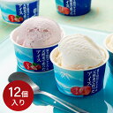 【父の日 ギフト 2025】送料無料 ギフト 天然水で作ったアイス 12個入り 3種類 詰め合わせ セット スイーツ フルーツアイス 食品ギフト 贈り物 熨斗 ...