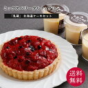 【お中元 夏ギフト 2025】【熨斗対応】 【送料無料】 ギフト 「乳蔵」北海道ミックスベリータルト・プリン 食品ギフト 贈答 ギフト 御歳暮 母の日 父の日 ...