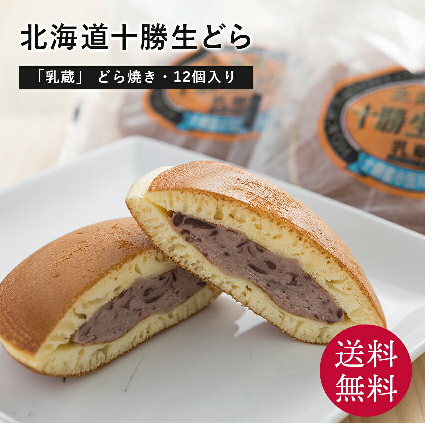 【父の日 プレゼント 2024】「乳蔵」北海道十勝生どら12個 食品ギフト 贈答 ギフト お中元 御中元 お歳暮 御歳暮 母の日 父の日 敬老の日